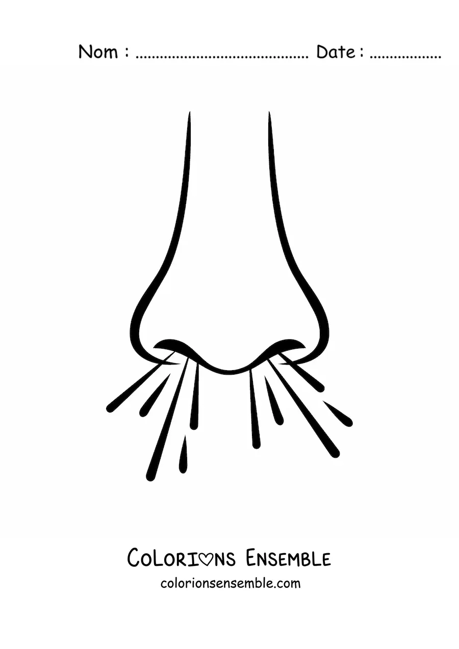 Coloriage d'un nez en train de respirer
