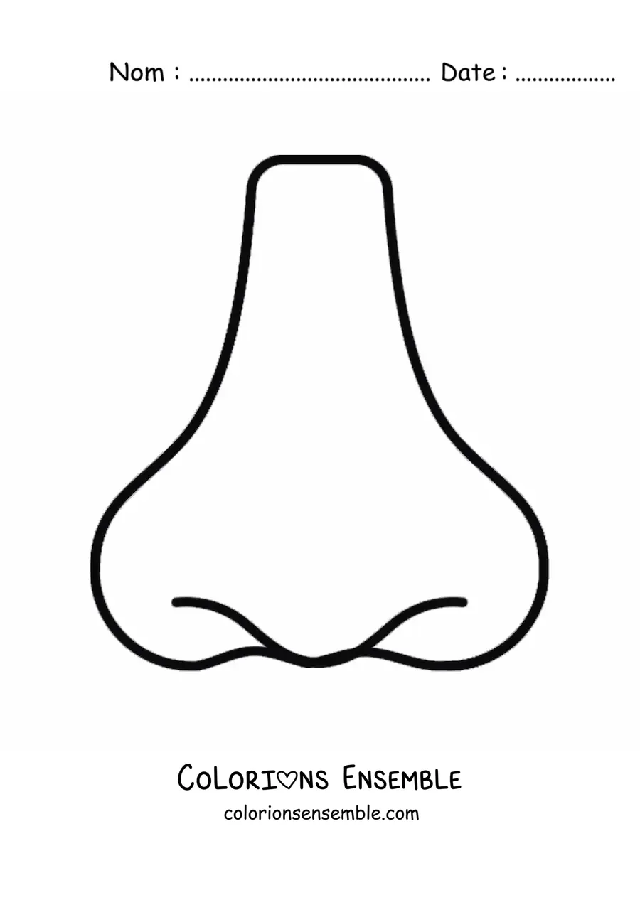 Coloriage d'un nez tout simple