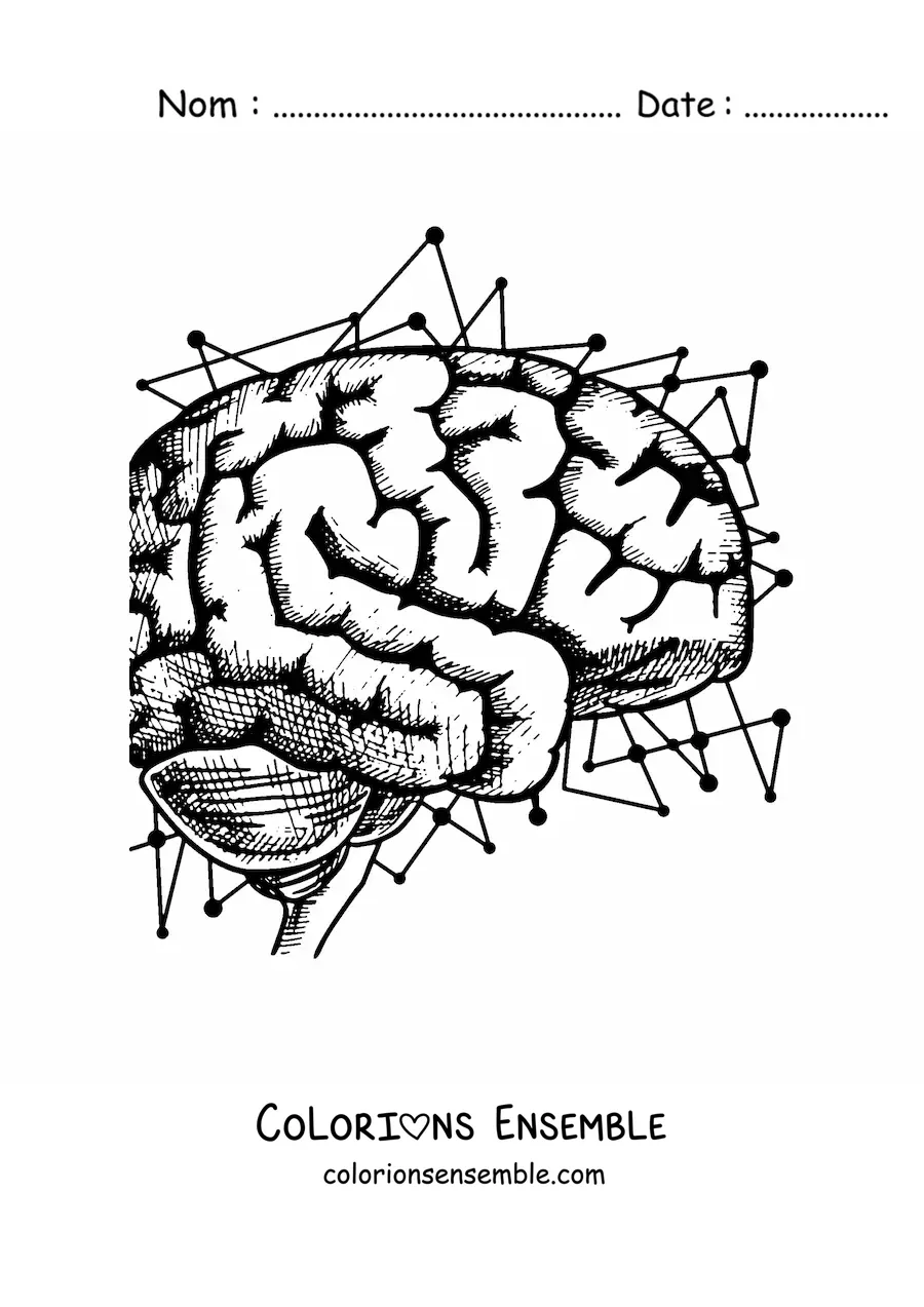 Coloriage d'un cerveau de profil entouré de circuits