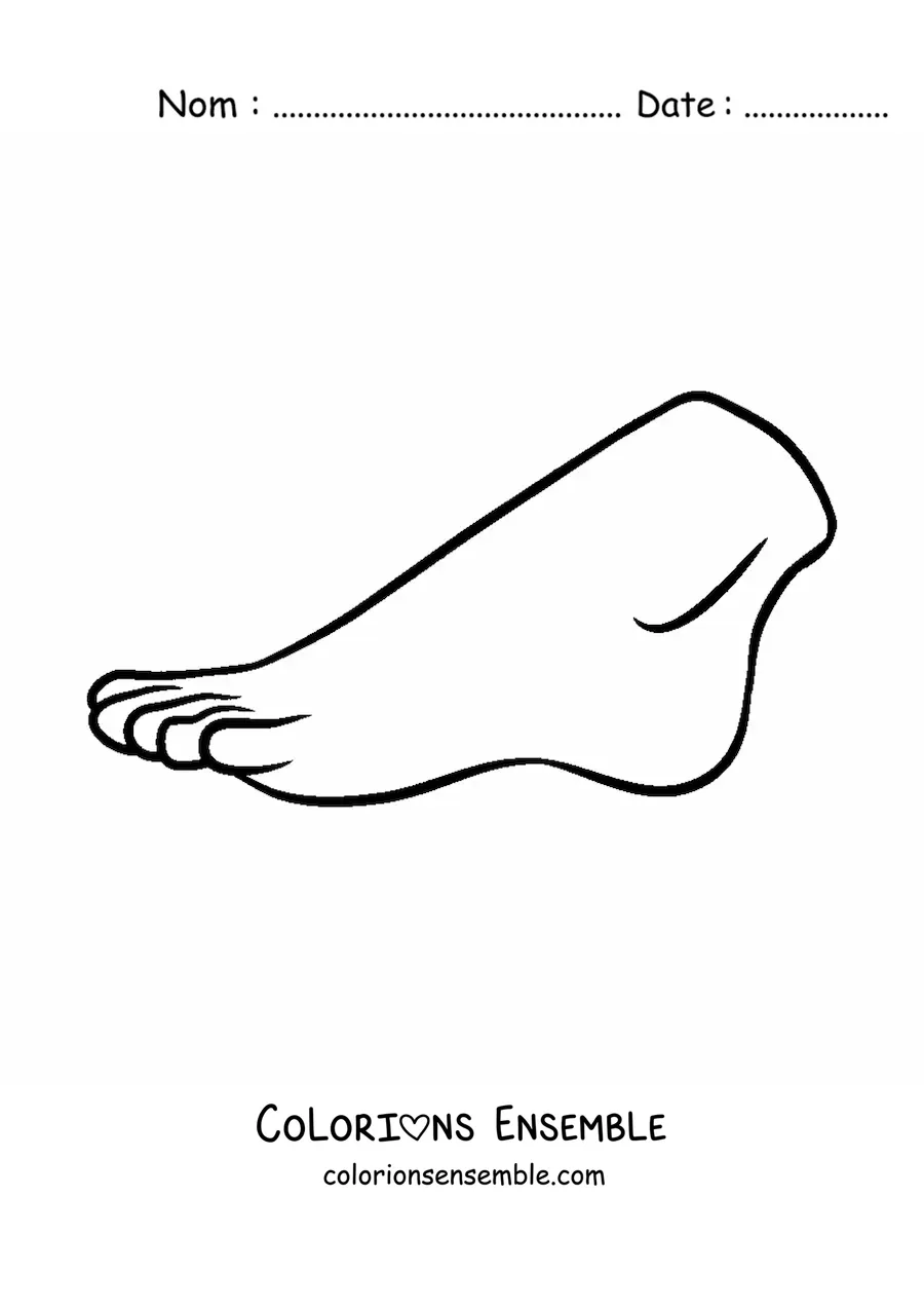 Coloriage d'un pied humain