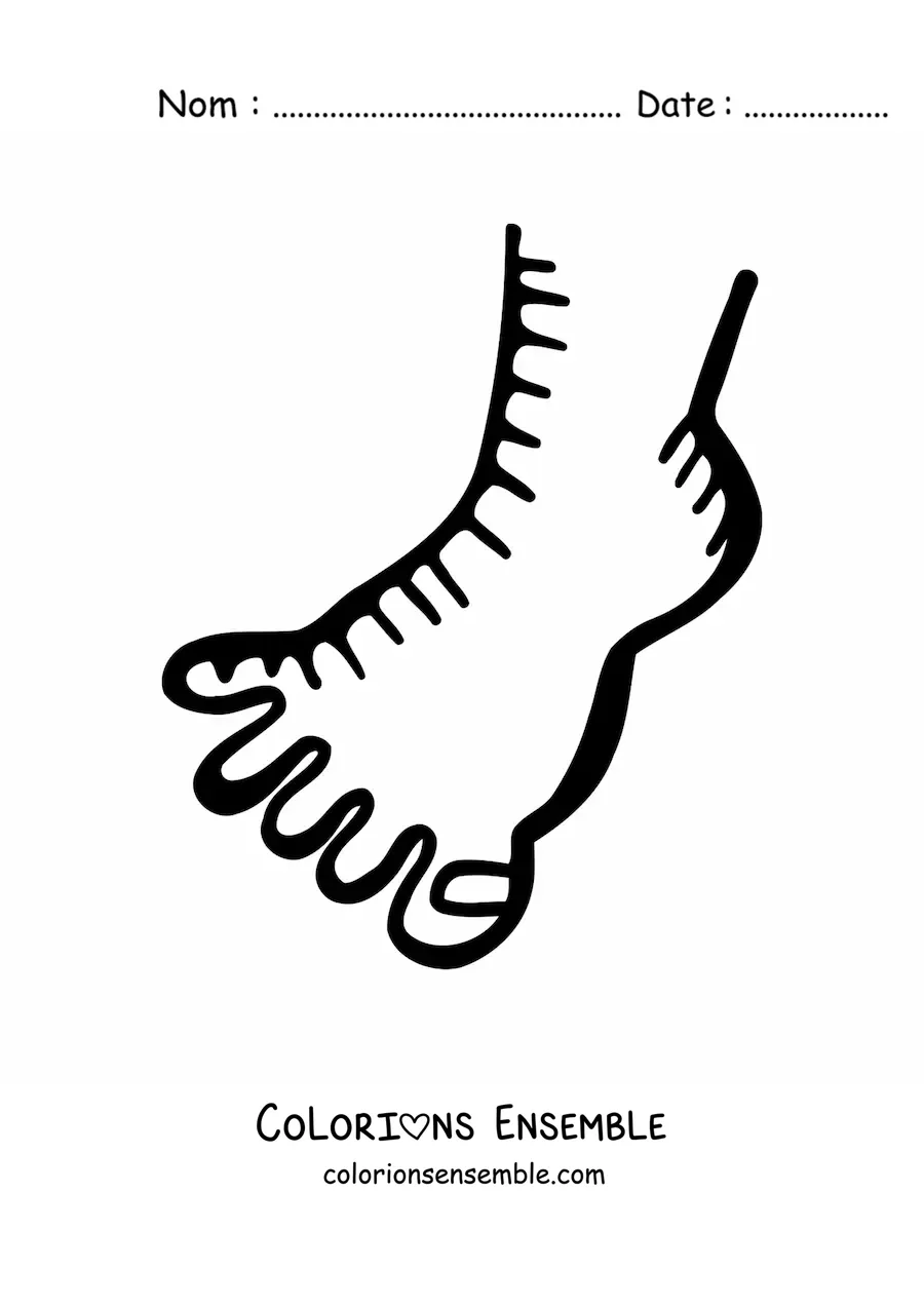 Coloriage d'un pied rigolo avec un ongle