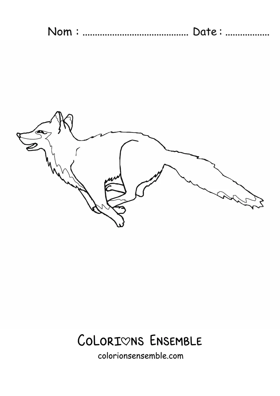Coloriage d'un renard sauvage qui saute, la gueule ouverte