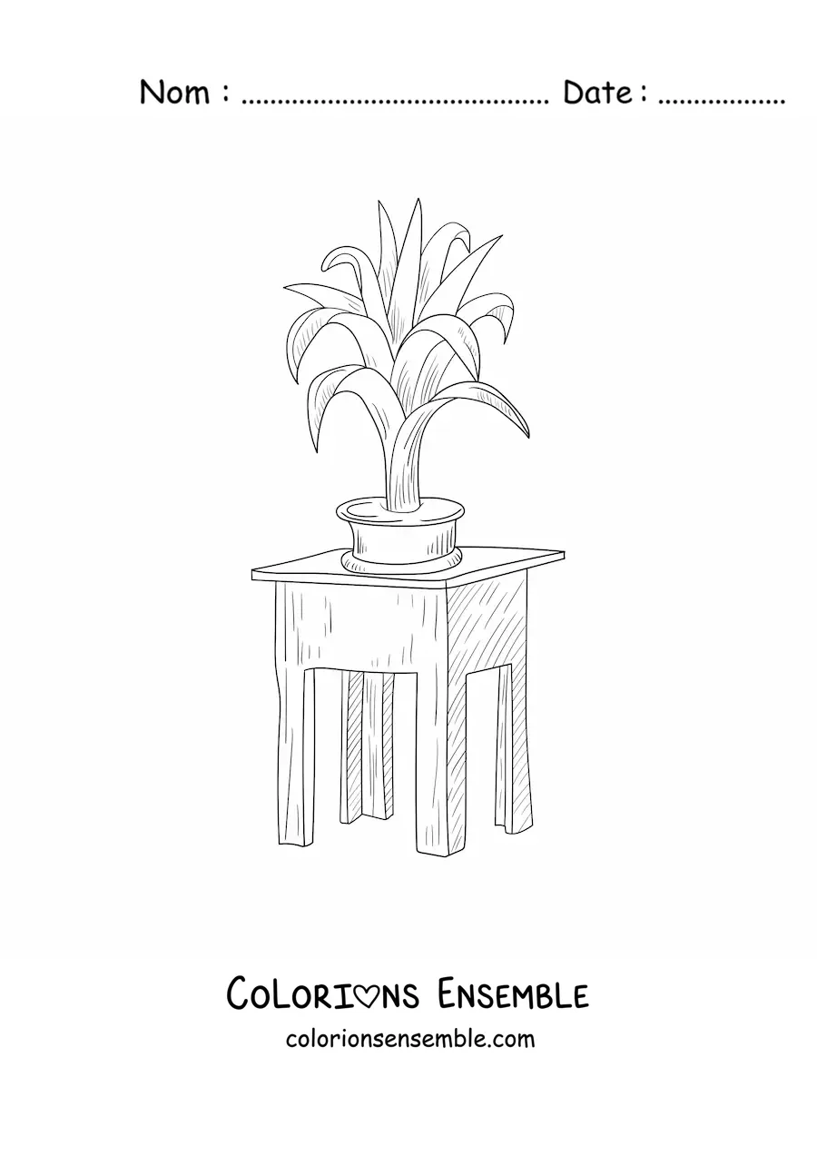 Image à colorier d’une plante posée sur une petite table carrée