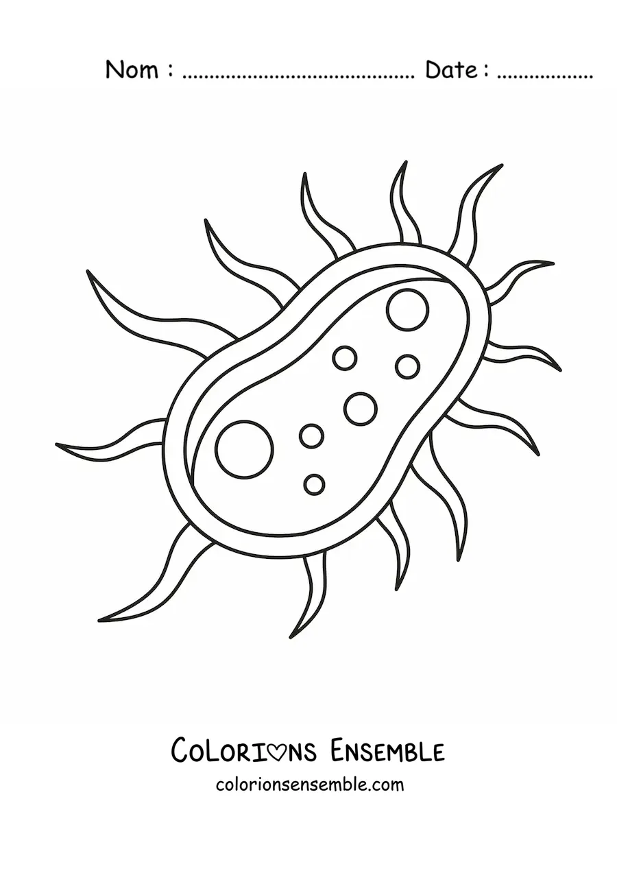 Image à colorier d'une cellule bactérienne