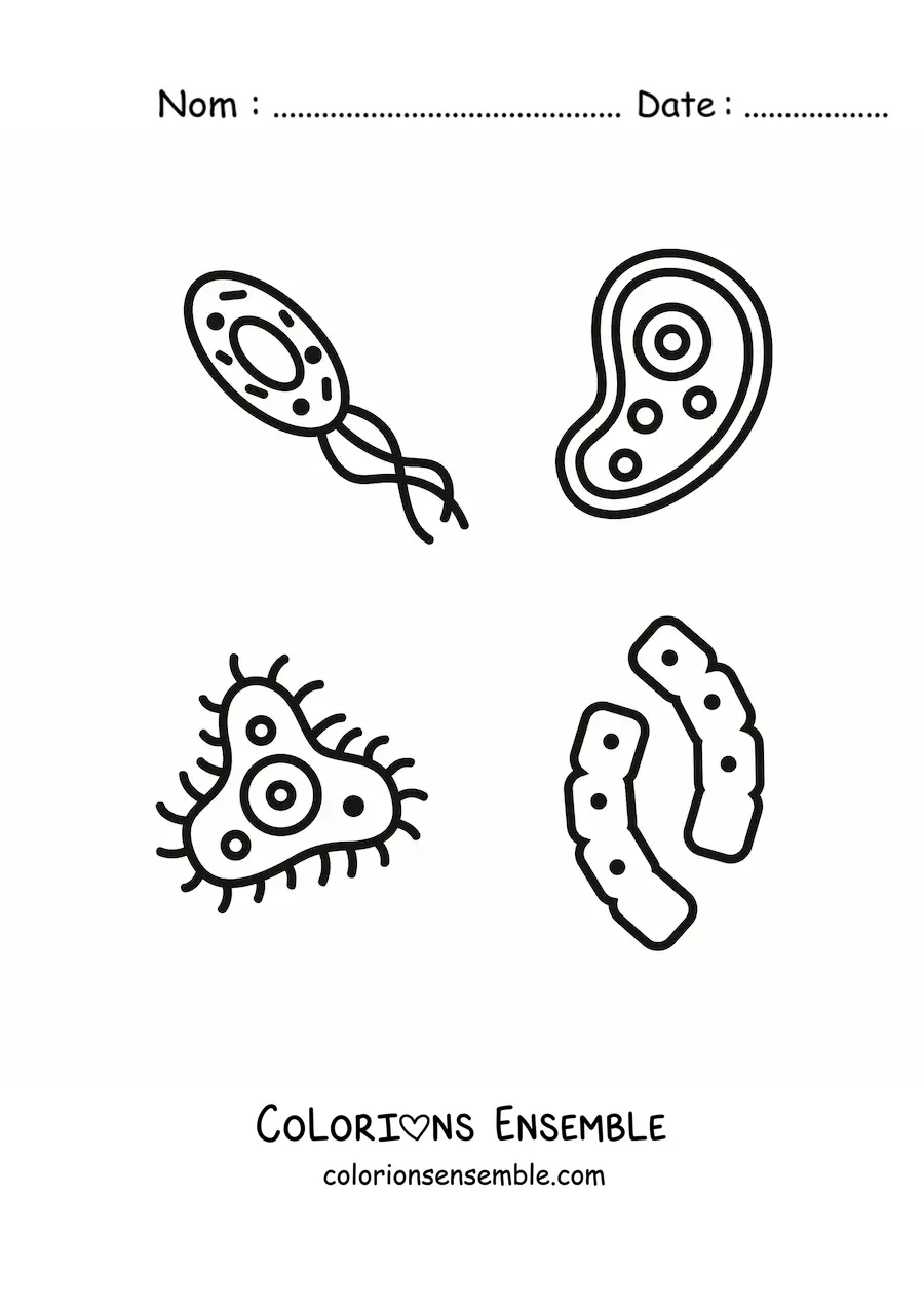 Image à colorier de plusieurs micro-organismes