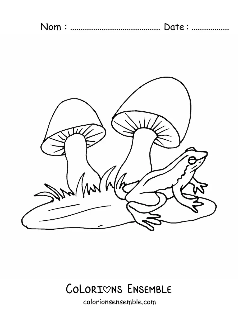 Image à colorier d'une grenouille à côté de deux champignons