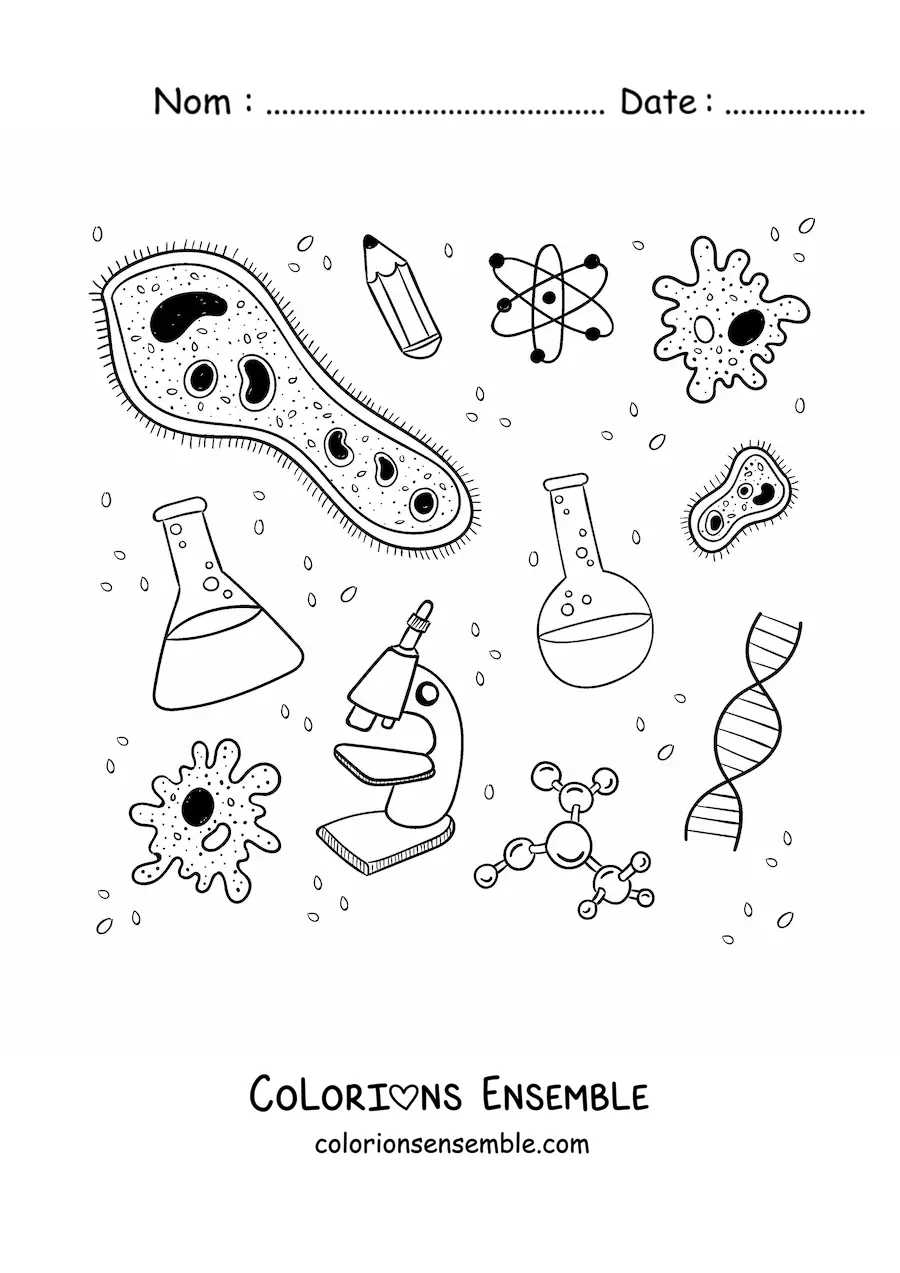 Image à colorier d'une icône de biologie cellulaire