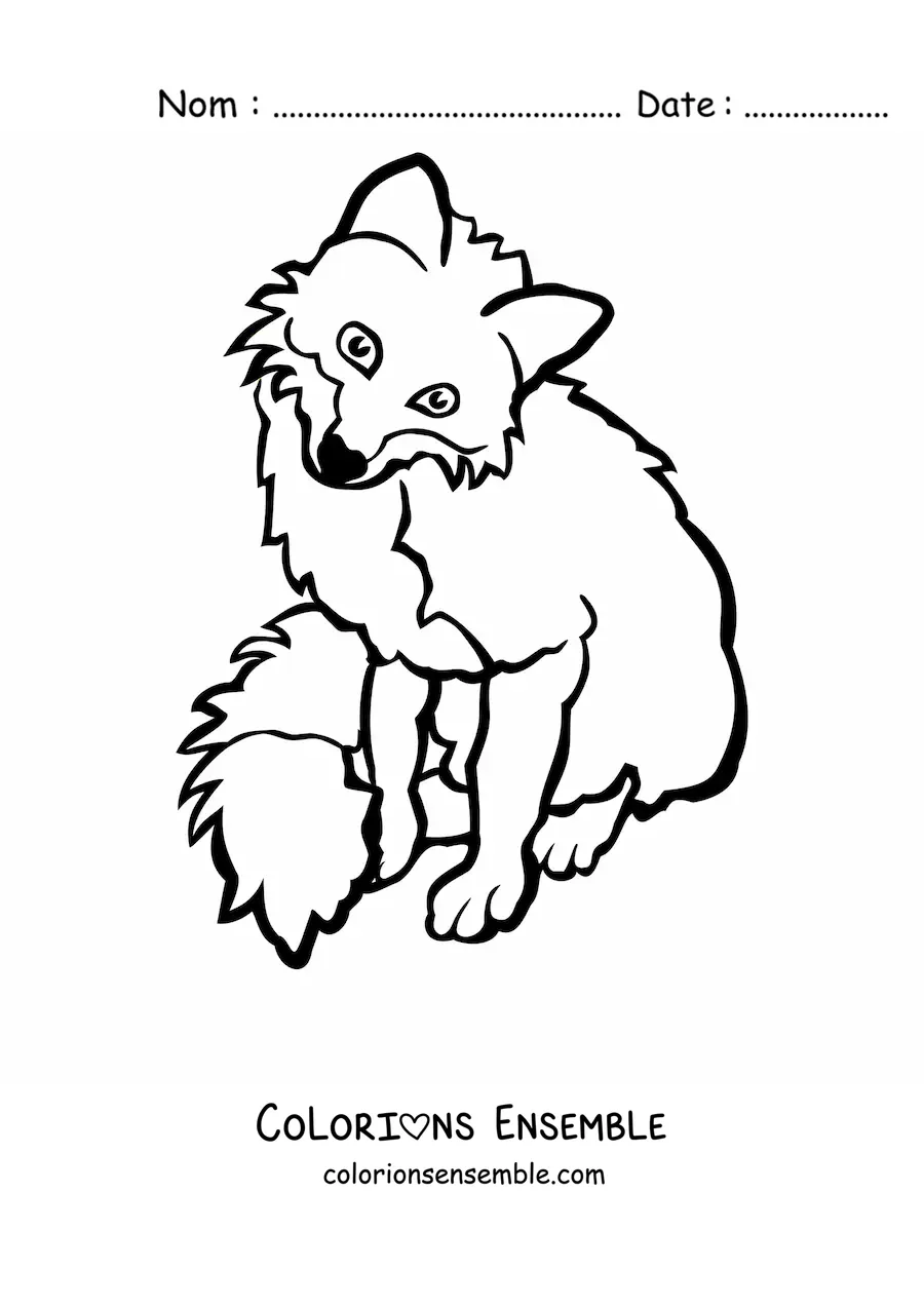 Coloriage d'un renard sauvage assis de face, la tête penchée vers la droite