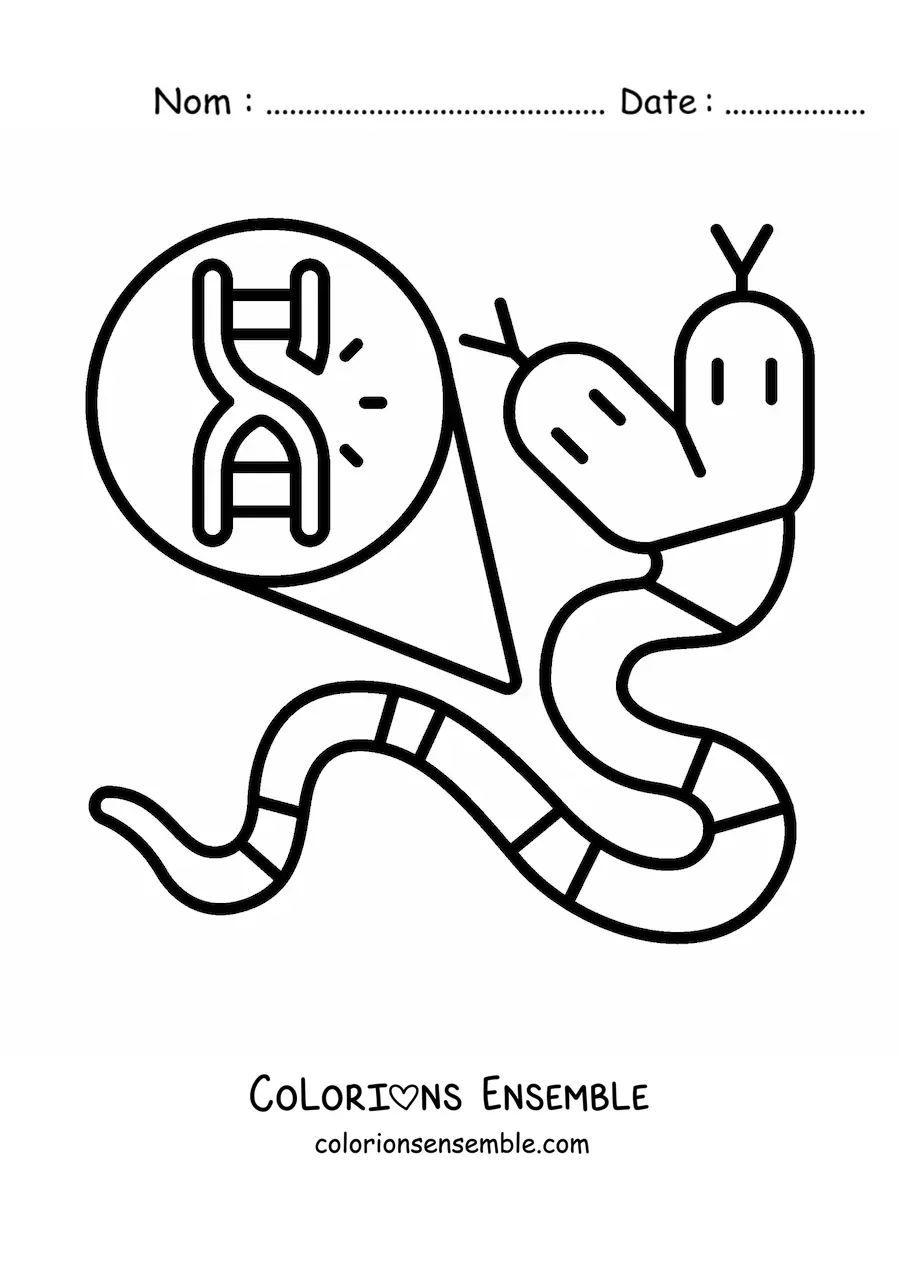 Image à colorier d'une mutation génétique