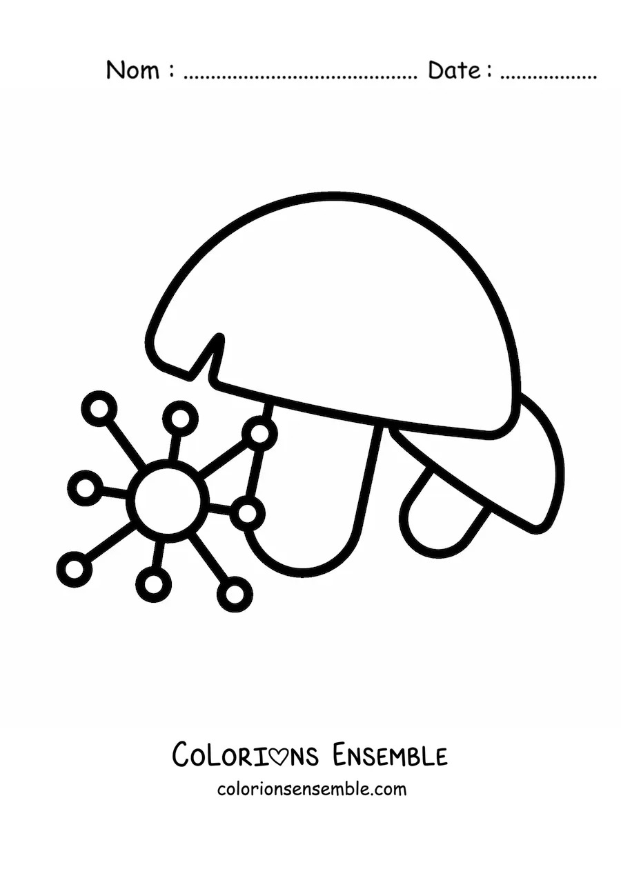 Image à colorier du règne des champignons