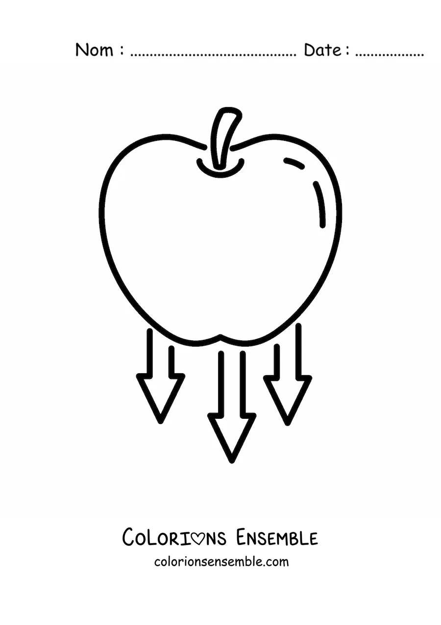 Image à colorier d'une pomme qui tombe représentant la gravité