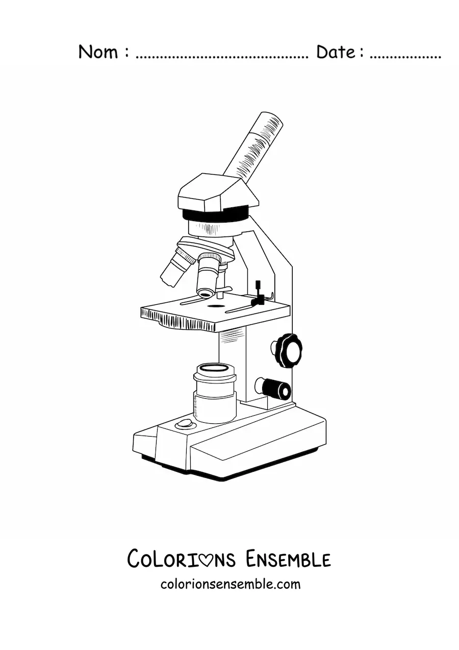 Image à colorier des différentes parties d'un microscope optique composé moderne