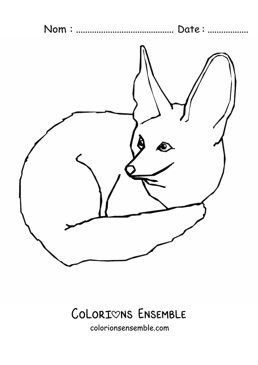 Coloriage d'un renard du désert tapi au sol