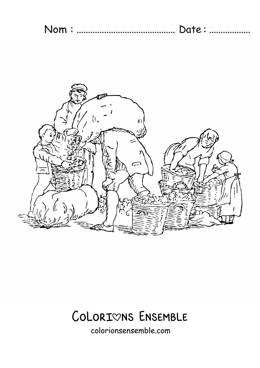 Image à colorier de paysans récoltant des pommes avec des paniers et des sacs