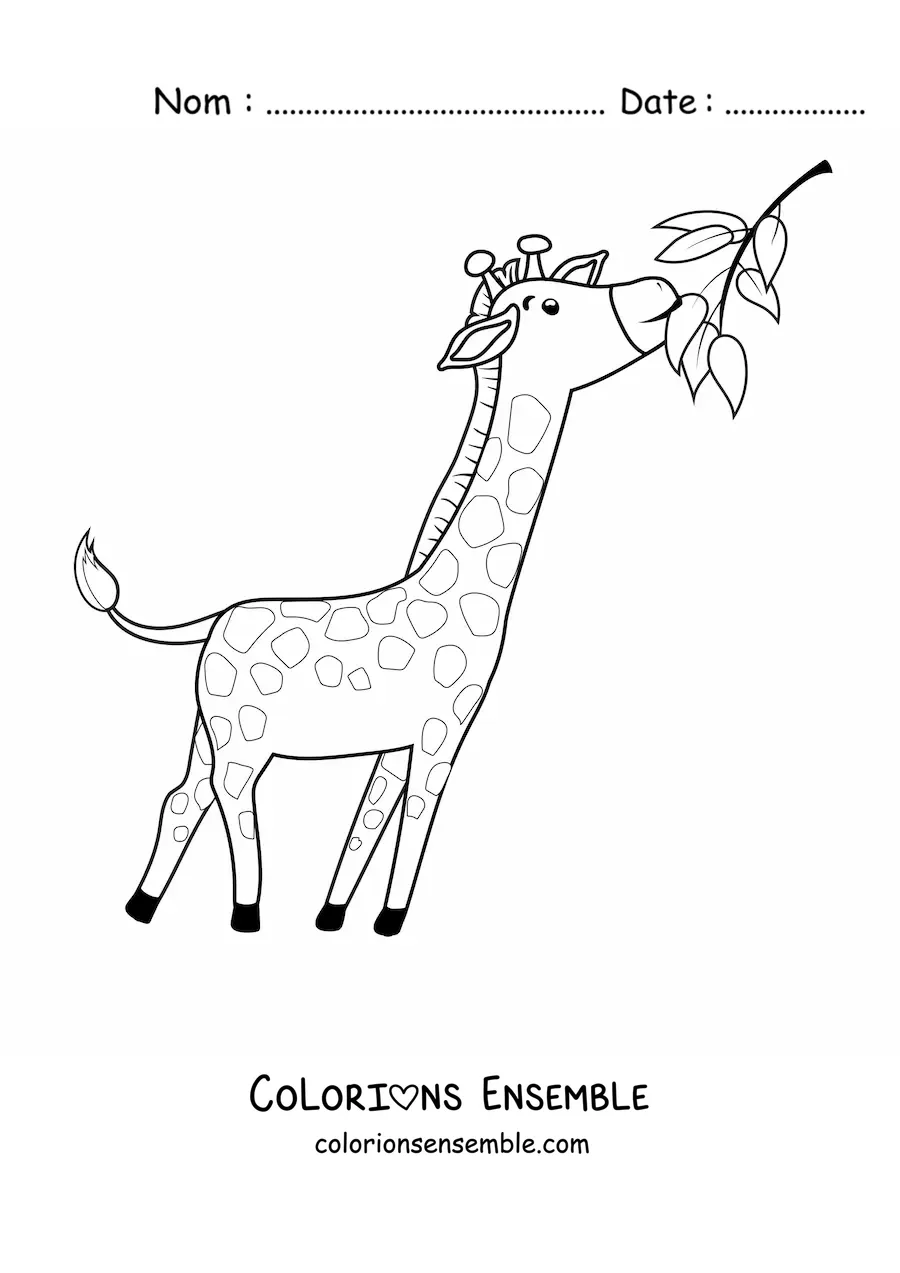 Coloriage d'une girafe de dessin animé qui mange des feuilles en étirant le cou