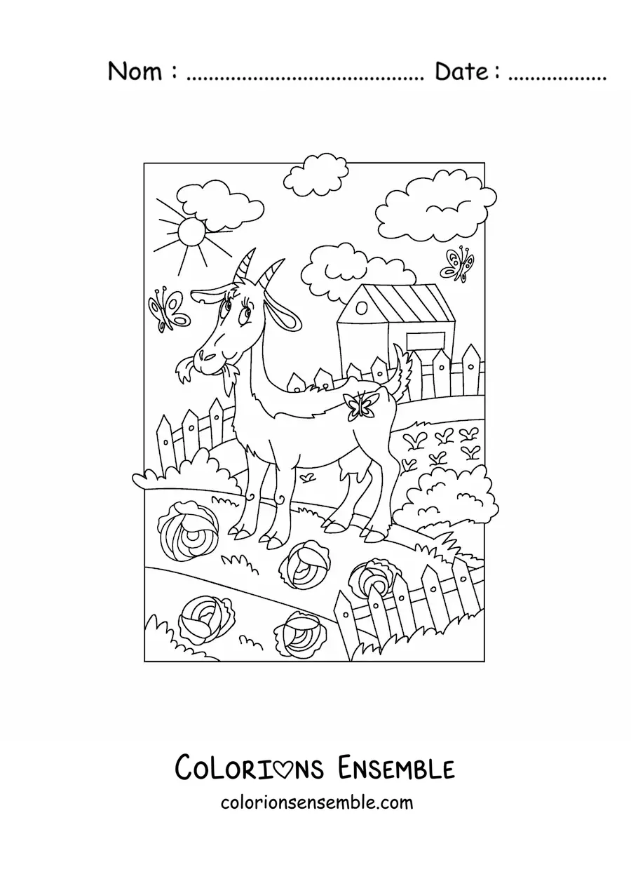 Image à colorier d'une chèvre animée qui broute à la ferme