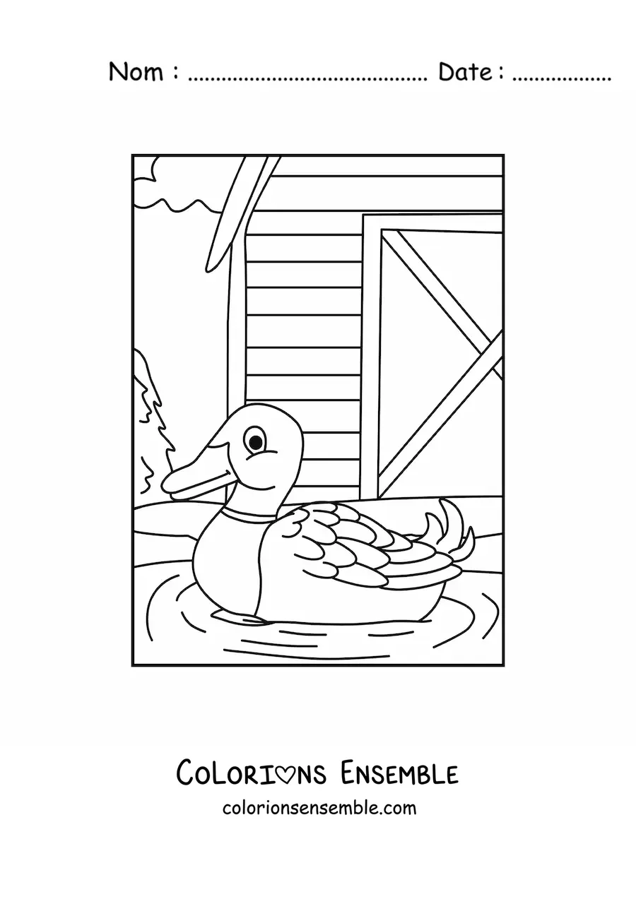 Image à colorier d'un canard à la ferme