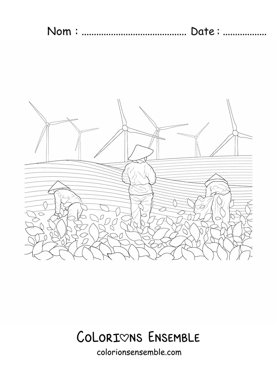 Image à colorier d’une rizière