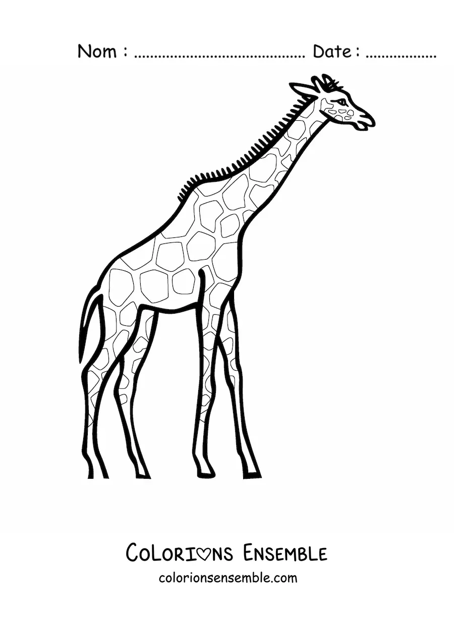 Coloriage d'une girafe qui regarde vers la droite en étirant le cou