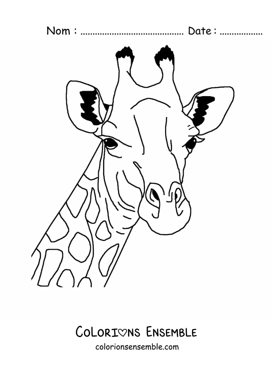 Coloriage du visage d'une girafe sauvage