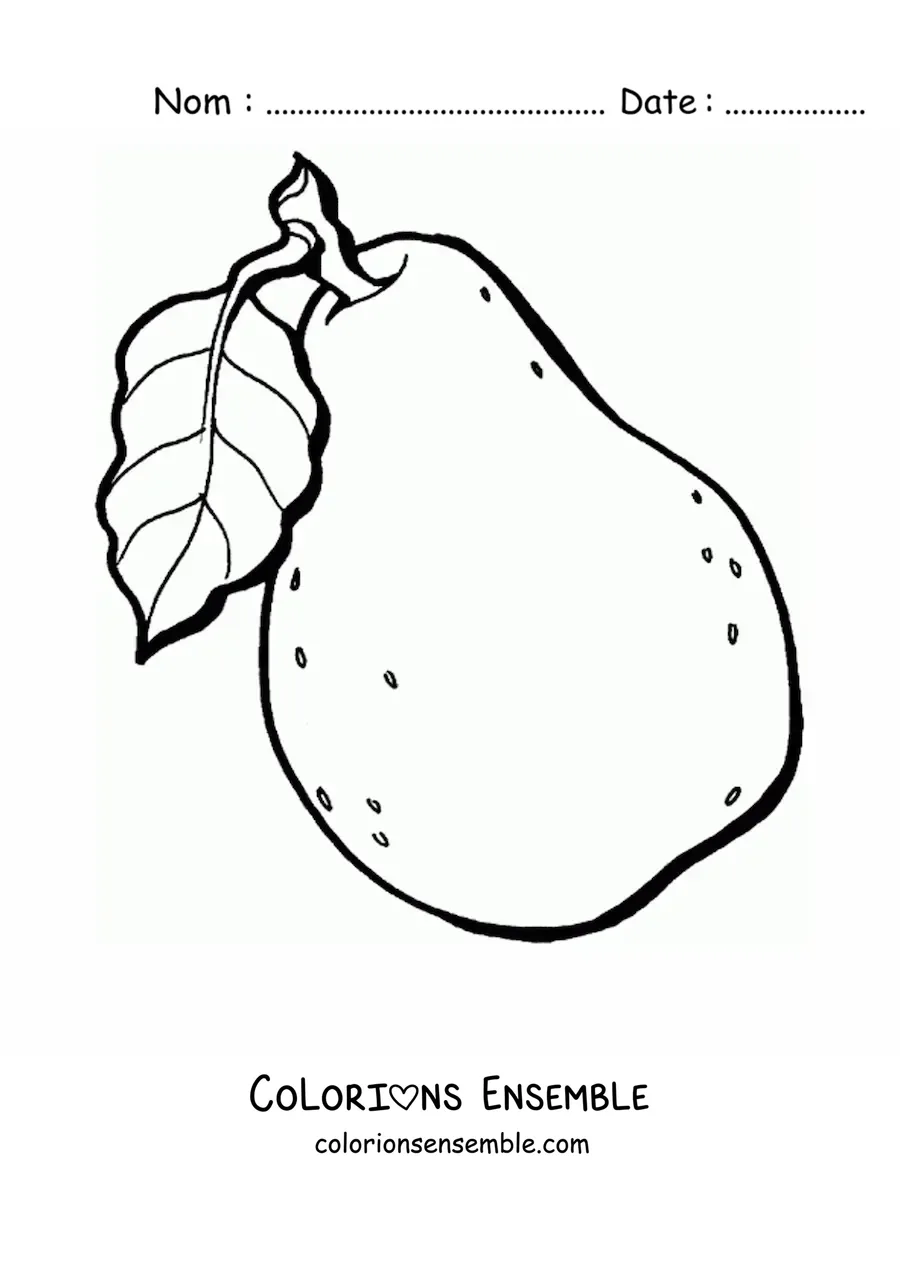 Coloriage d'une poire avec une feuille sur la tige