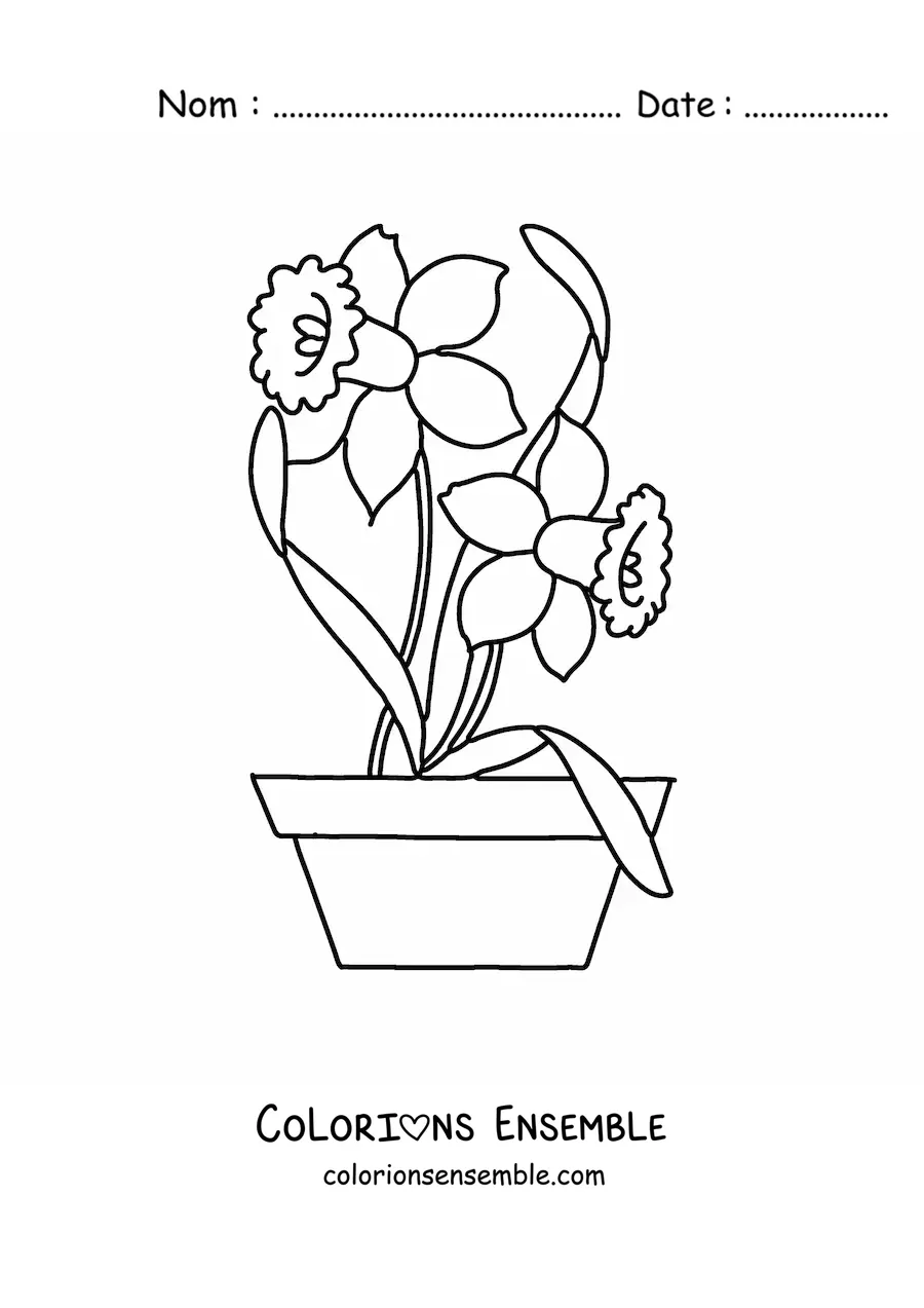 Dessin à colorier d’une fleur de mai.