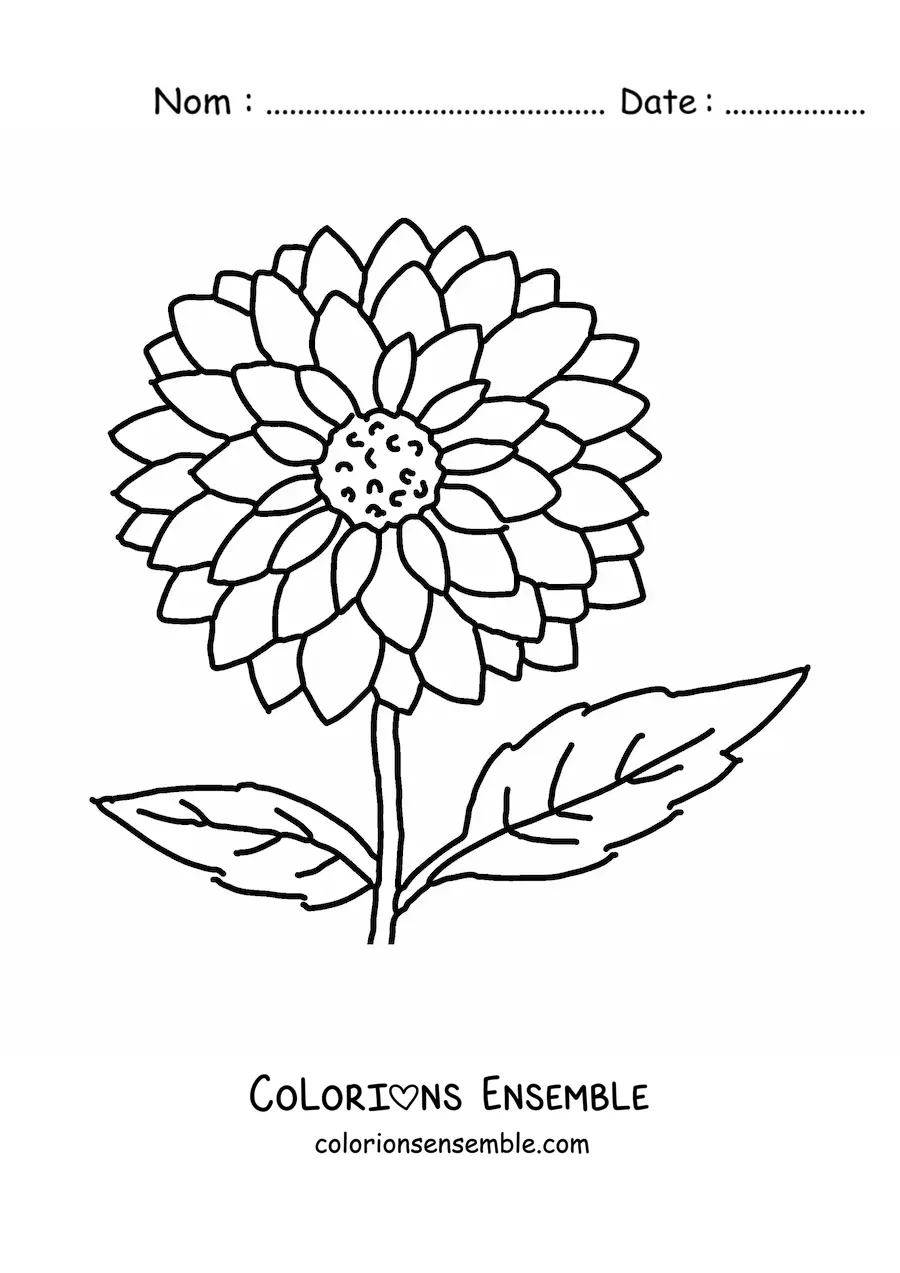 Dessin à colorier d’une fleur de printemps.