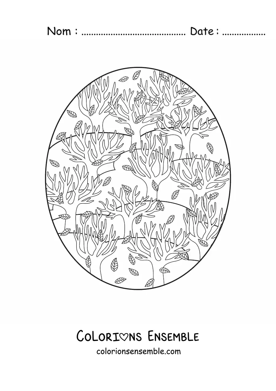 Dessin à colorier de plusieurs arbres en automne.