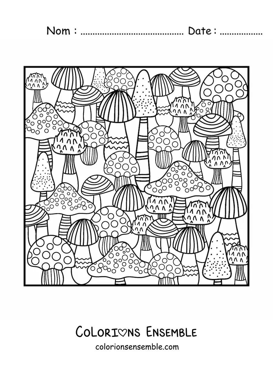Dessin à colorier de plusieurs champignons d’automne.