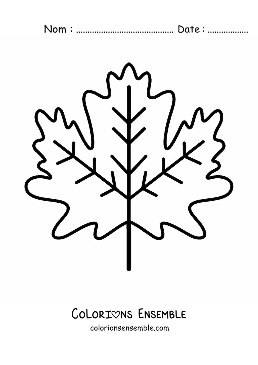 Dessin à colorier d’une feuille d’automne.