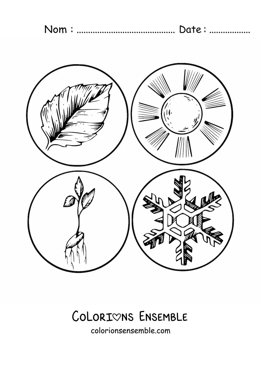 Image à colorier des symboles des saisons