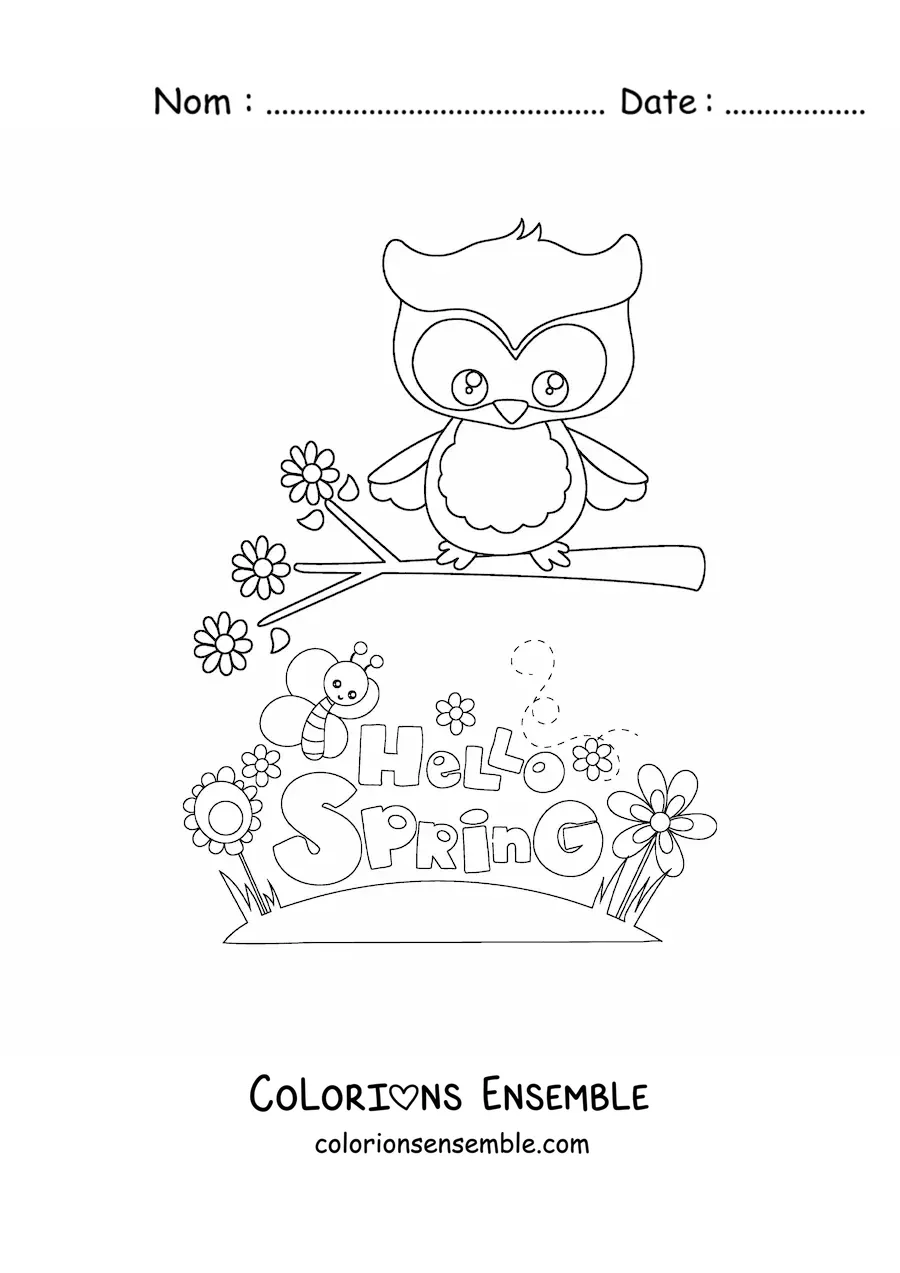 Image à colorier d’un hibou et d’une abeille à côté du mot anglais spring