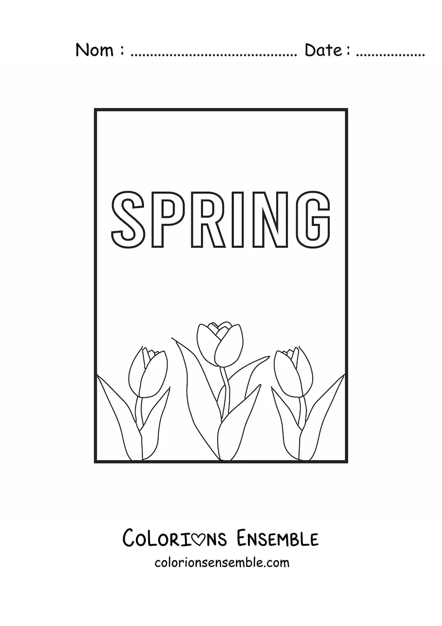 Image à colorier de plusieurs tulipes et du mot anglais spring