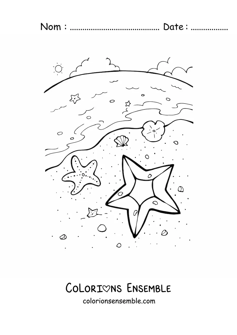 Image à colorier de plusieurs étoiles de mer au bord de la plage