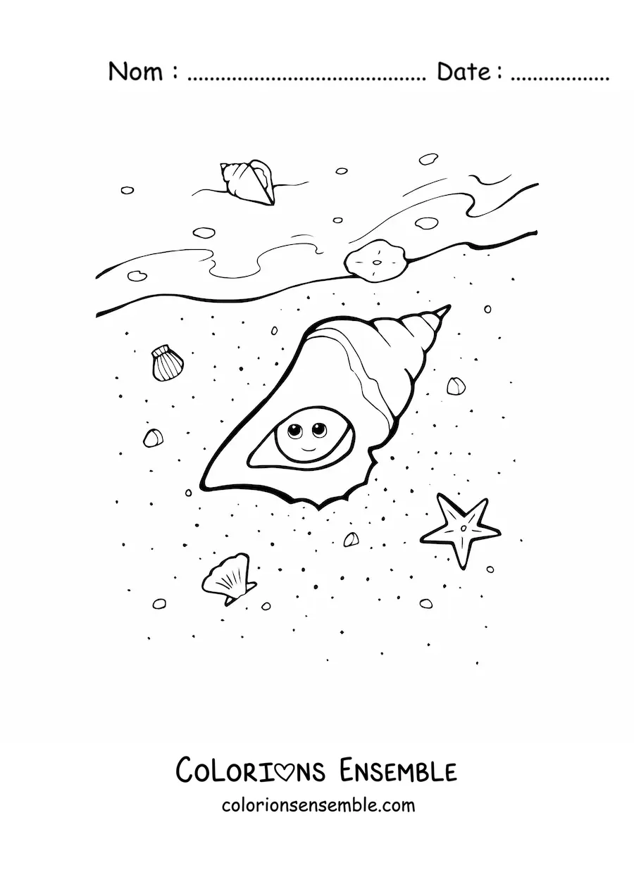 Image à colorier d’un coquillage kawaii sur la plage