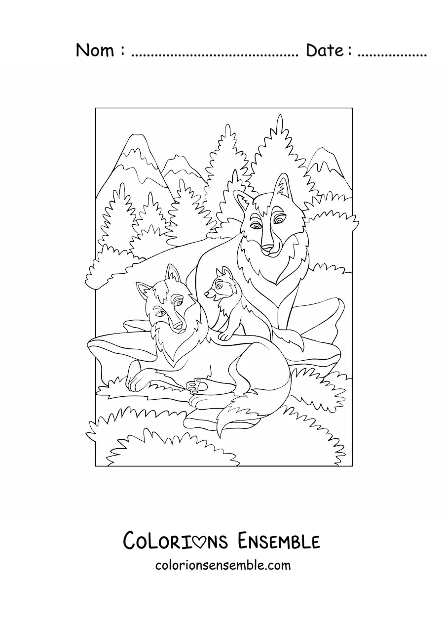 Image à colorier de trois loups au bord d’une forêt