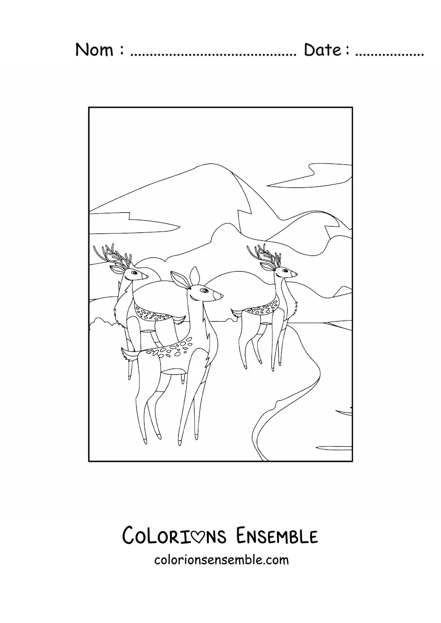 Image à colorier d'un troupeau de cerfs au bord d'une forêt