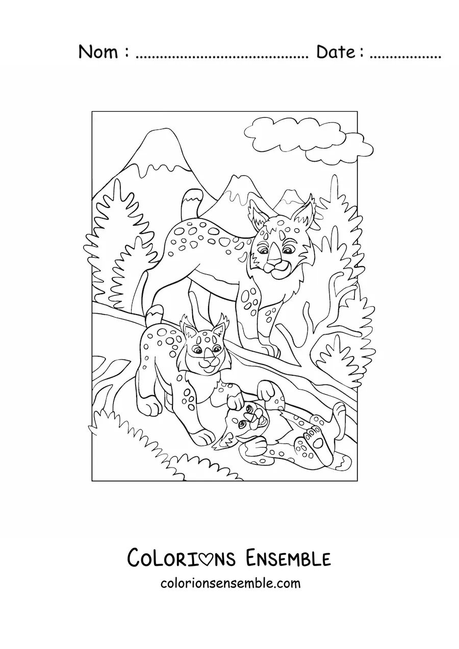 Image à colorier d'un groupe de lynx dans la forêt