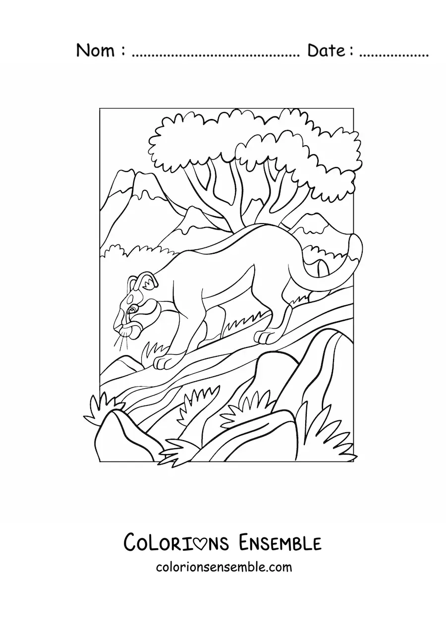 Image à colorier d'un puma sur un tronc dans la forêt