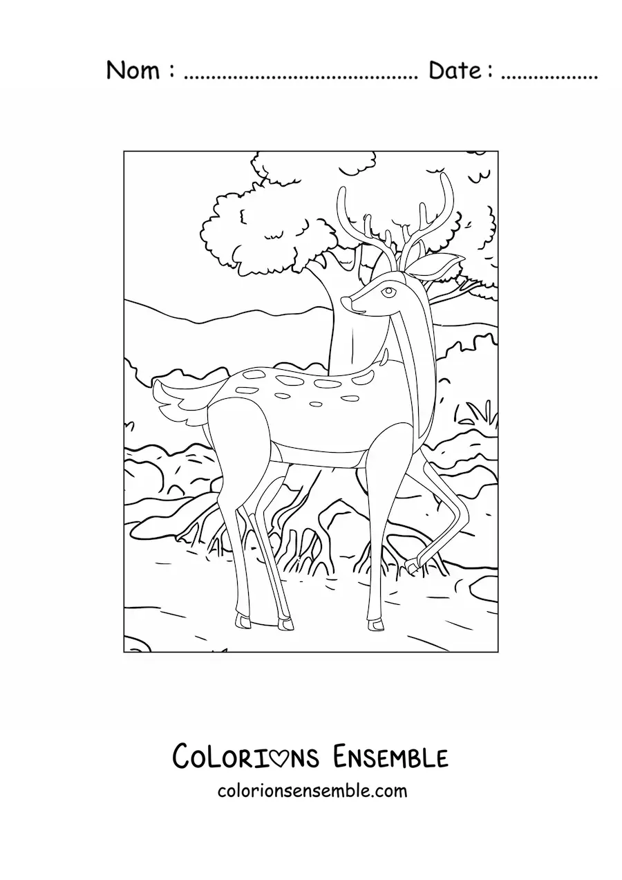 Image à colorier d'un cerf dans la forêt