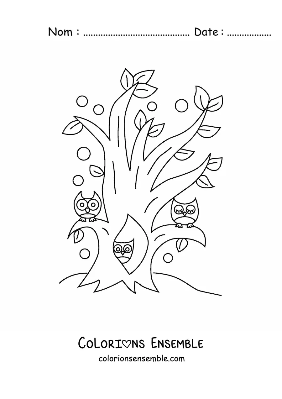 Image à colorier de plusieurs hiboux à l'intérieur d'un arbre dans la forêt