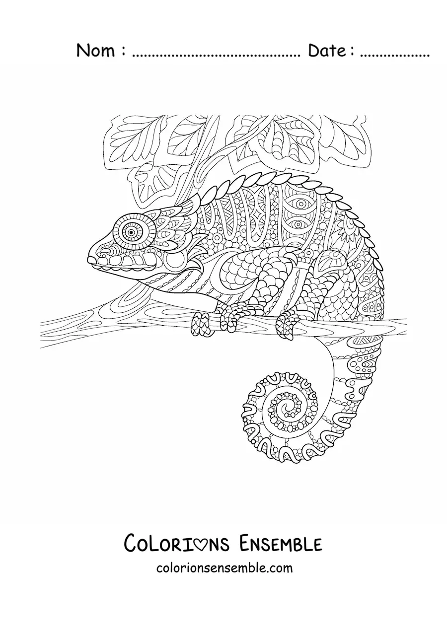 Image à colorier d'un mandala représentant un caméléon dans la jungle