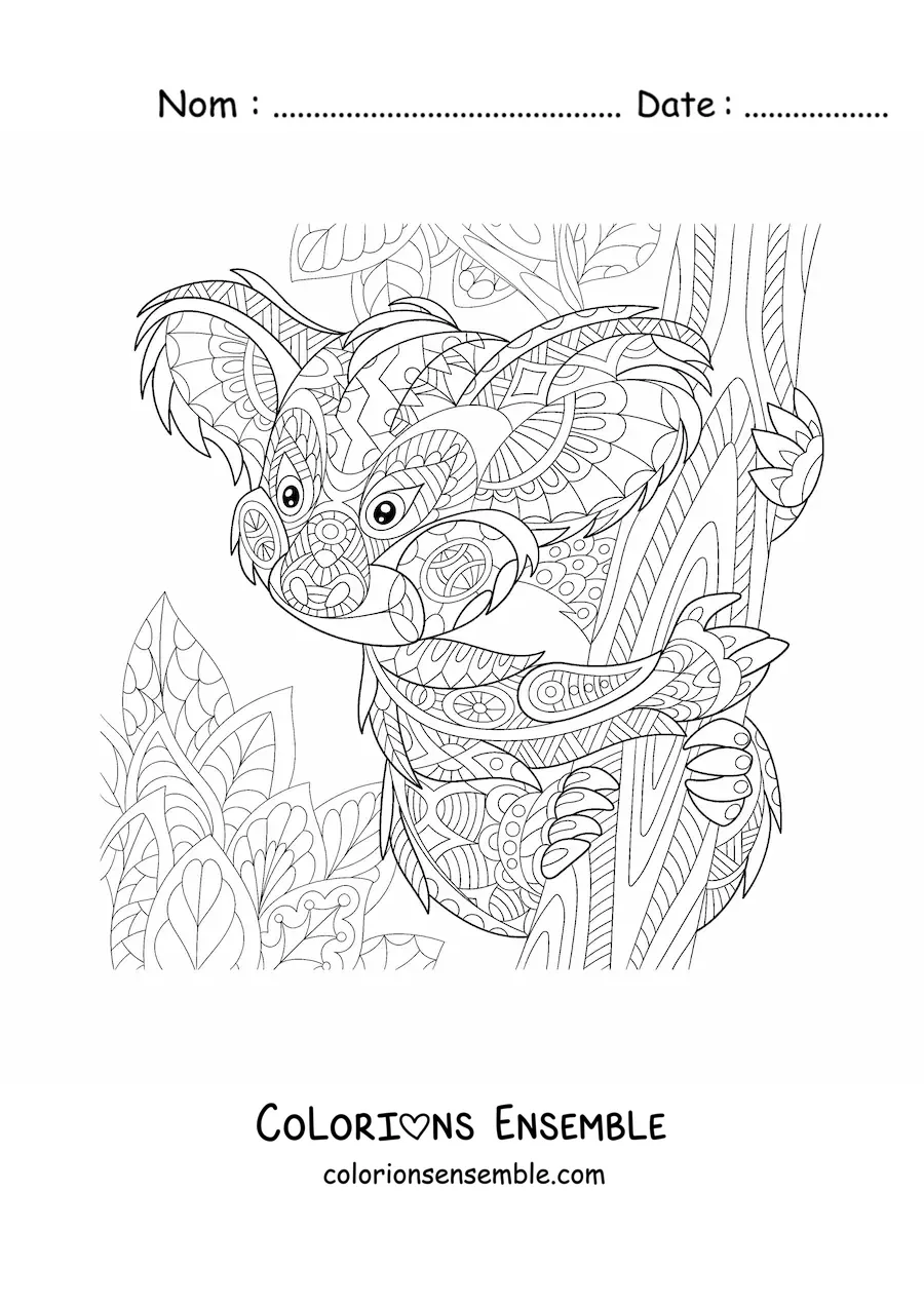 Image à colorier d'un mandala représentant un koala sauvage