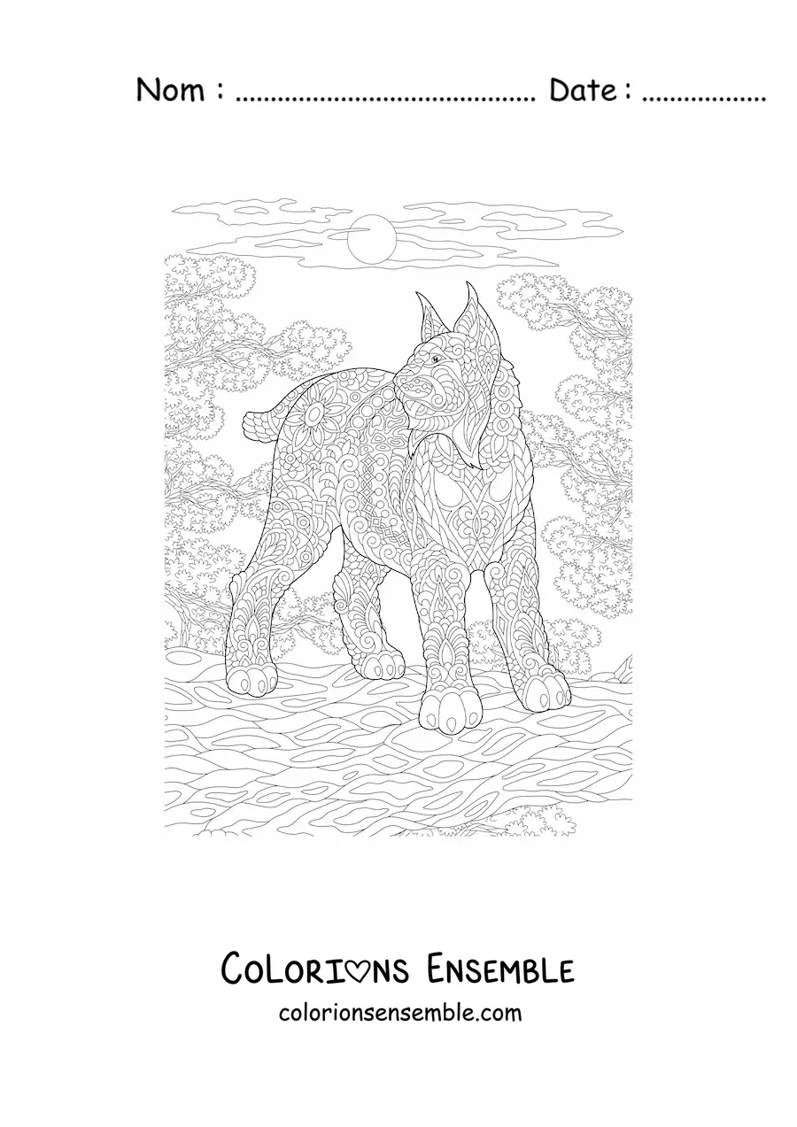 Image à colorier d'un mandala représentant un lynx sauvage