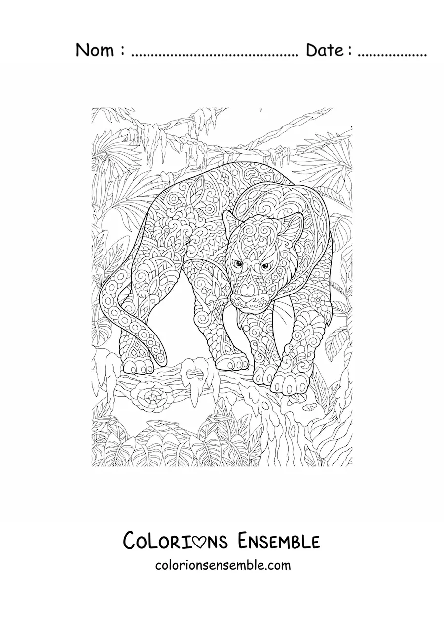 Image à colorier d'un mandala représentant un léopard dans la jungle