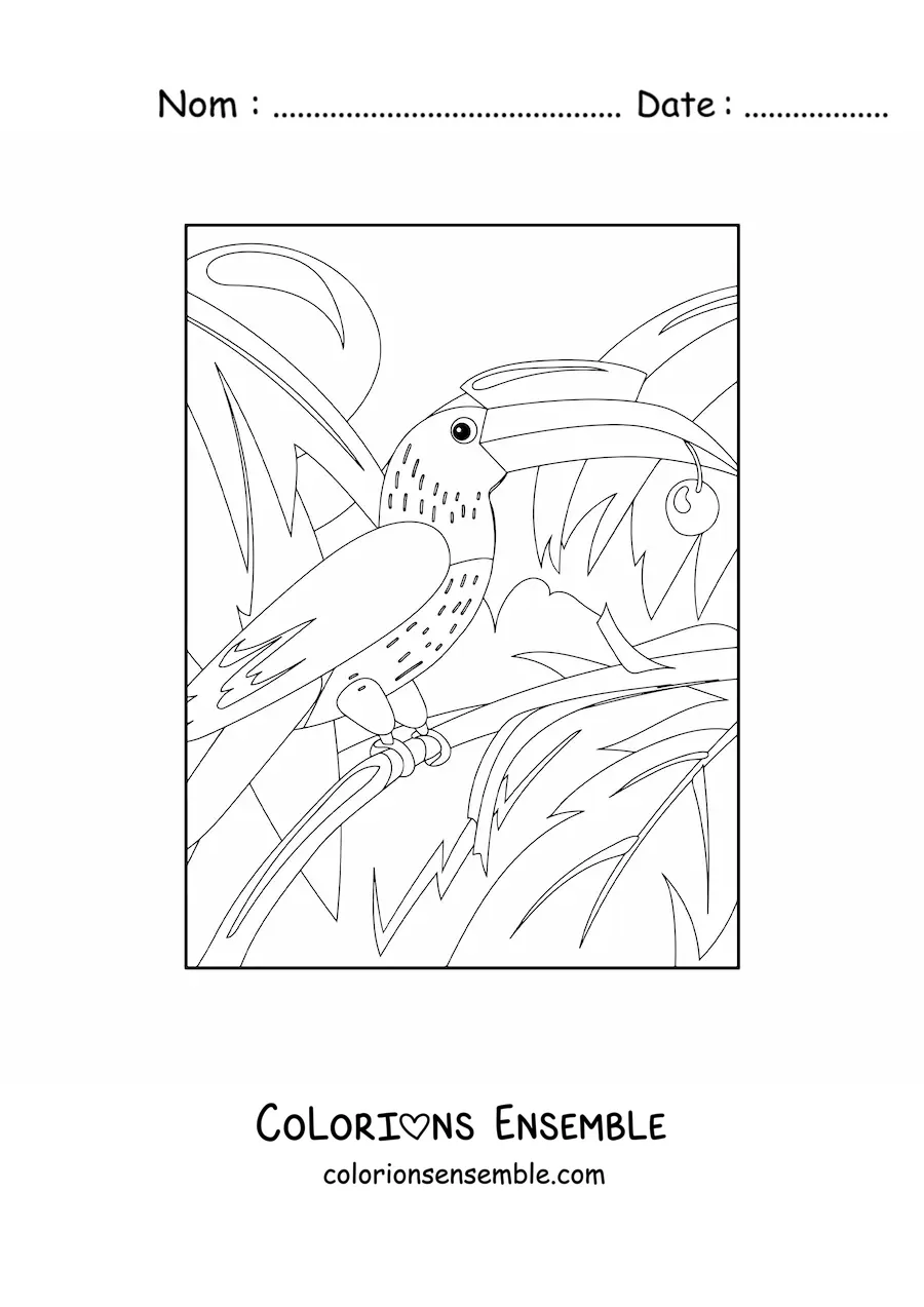 Image à colorier d'un toucan dans la jungle