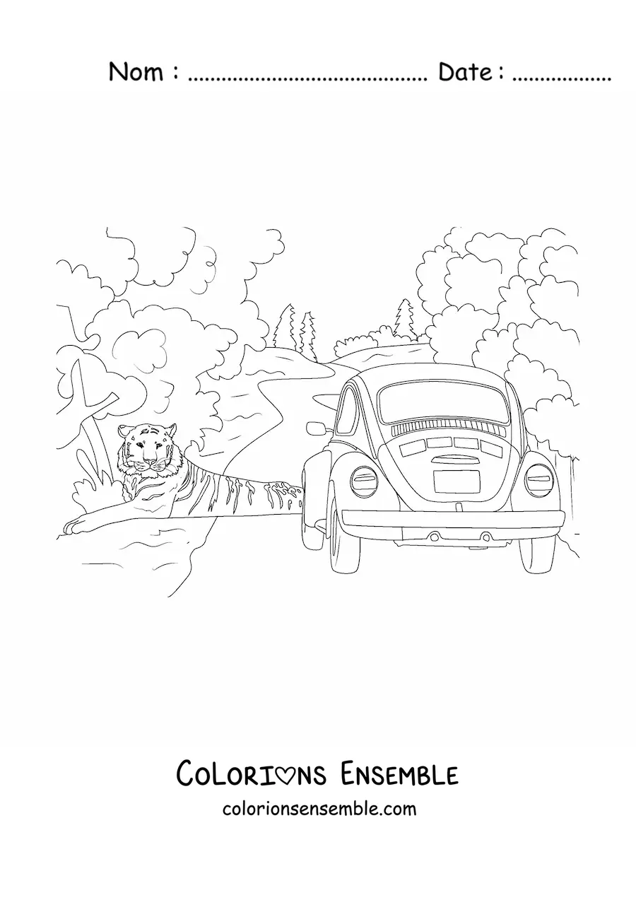 Image à colorier d'un tigre sauvage à côté d'une voiture sur une route au milieu de la jungle