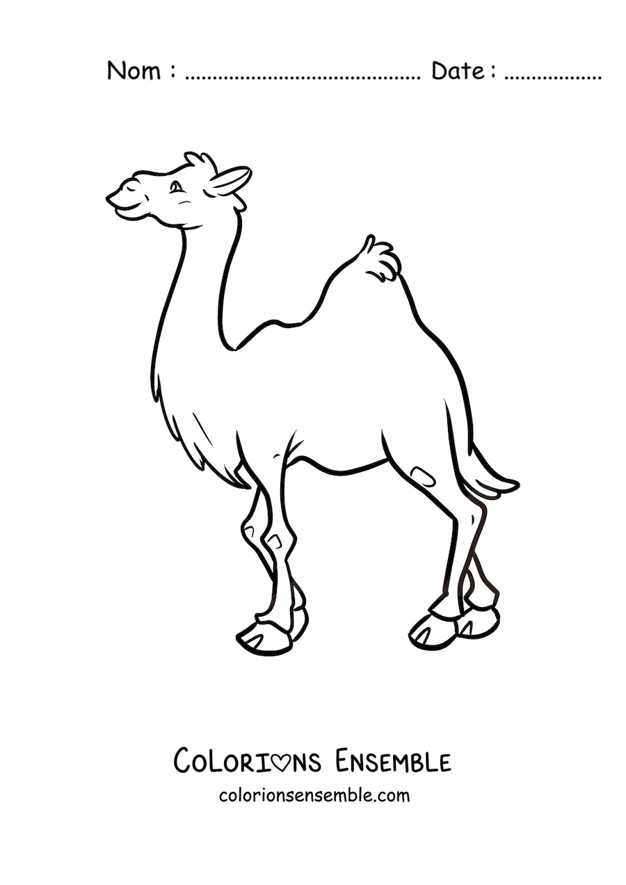 Image à colorier d'un dromadaire