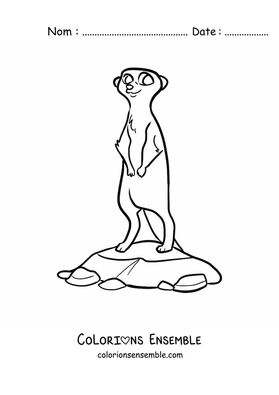 Image à colorier d'un suricate du désert