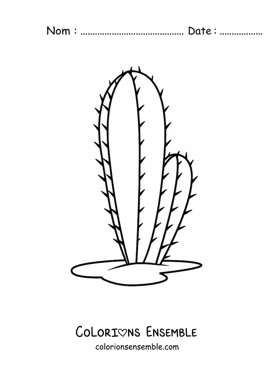 Image à colorier d'un cactus simple